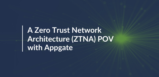 Zero Trust Network Architecture (ZTNA) | Attack Surface Management